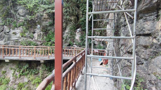 洒金公园旅行图片 3