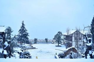 烟火雨城•古道飘香—雅安名山