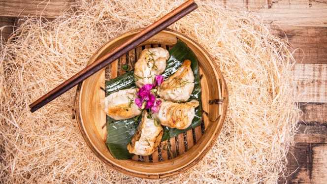 The Lucky Cat Dumplings and Bar
