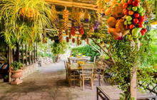 Agriturismo Fattoria Terranova餐厅图片