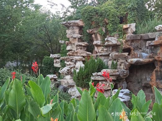 德州市植物园
