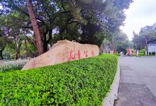 儿童公园景点图片