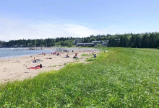 彩虹港沙滩省立公园景点图片