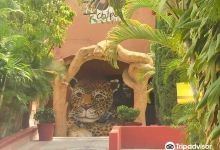 Zoologico Zoochilpan景点图片