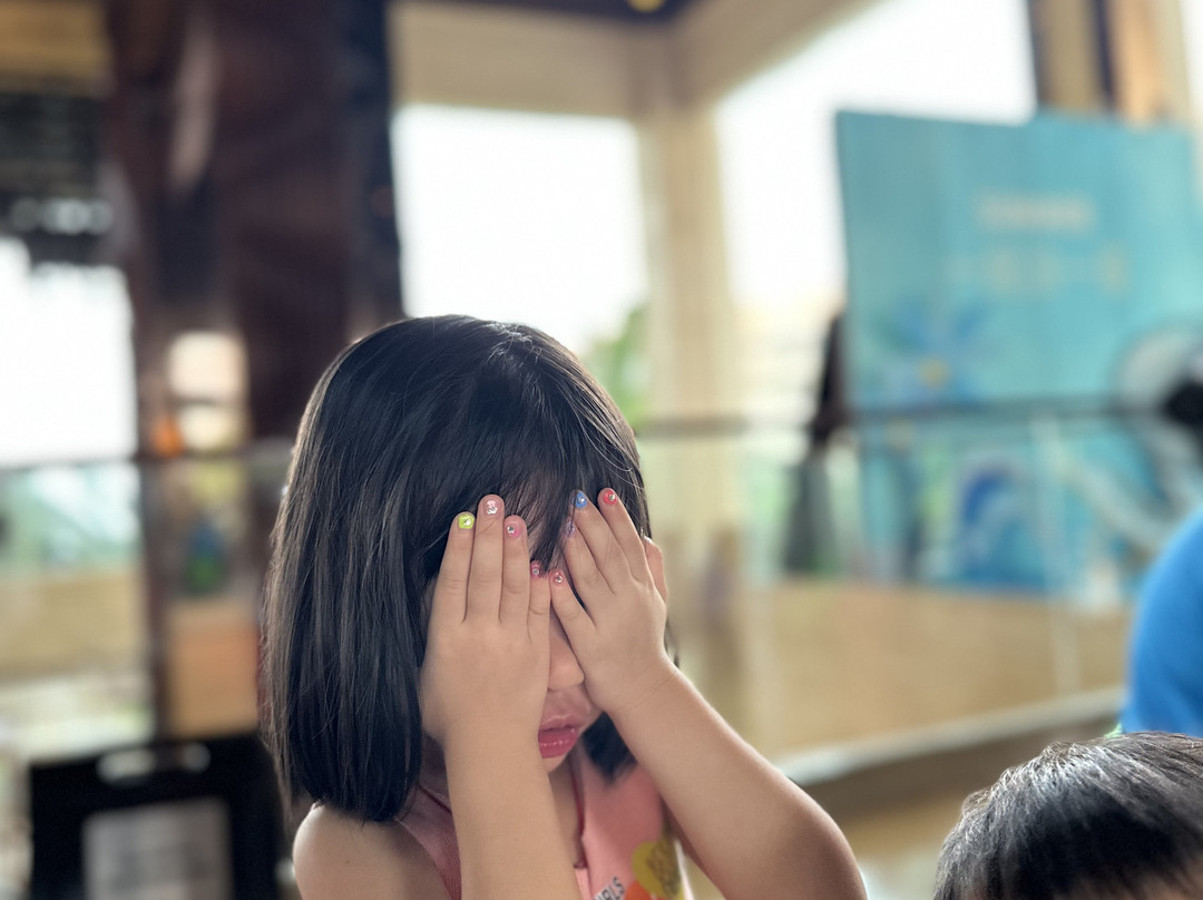 惠东金海湾嘉华度假酒店 主图