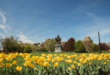 波士顿公园景点图片