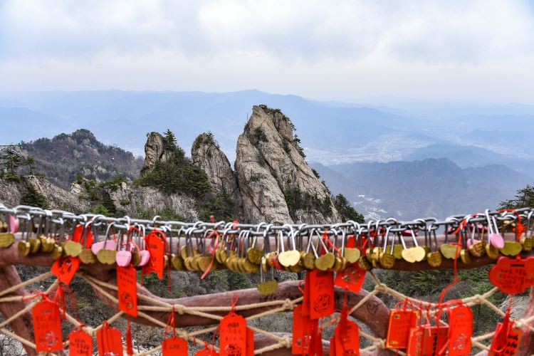 全流程服务闭环,从出发前到返程后都有保障