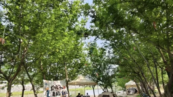 營口鍋峪村露營