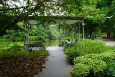 新加坡植物园-新加坡-vivienvivien