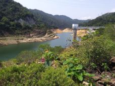 大围村-香港-貓貓達