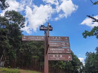 松山战役︱走近那段不能忘却的记忆