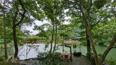 野趣沟-河源-YoYo_6F5D5D6N