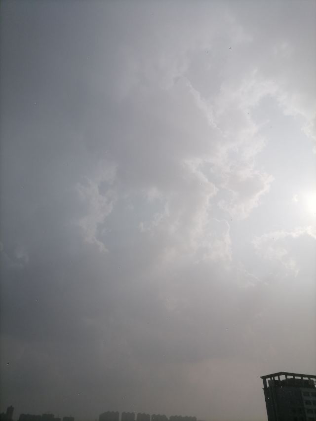 长春市百花园旅行图片 2