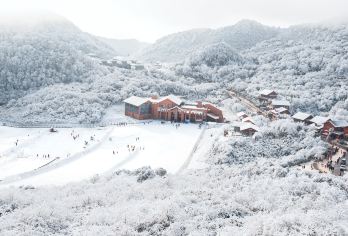 金佛山一日游包车【纯玩无购物 亲情服务 可制定行程】【[透明的价格体系，不花冤枉钱]费用高低取决于您对品质的要求，透明报价，明白消费】