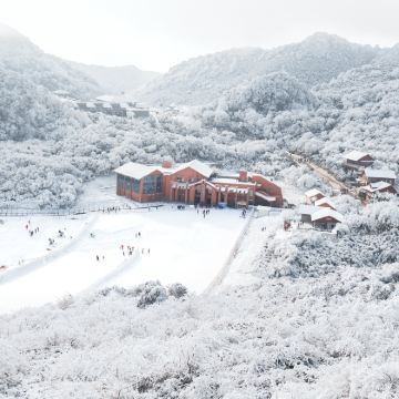 重庆+磁器口古镇+李子坝轻轨站+金佛山4日3晚私家团