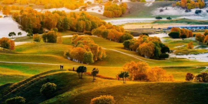 塞罕壩國家森林公園