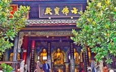 报国寺-峨眉山-轻轻的一个蚊