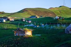 腾格里沙漠-中卫-YoYo_2T8E3R8K