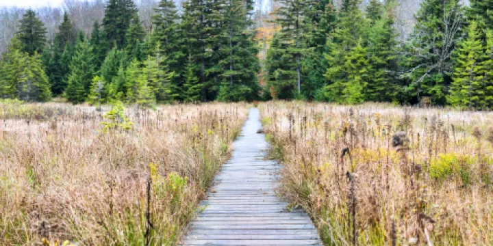 鹼水河國家濕地公園