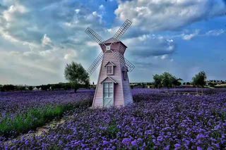 宁夏离普罗旺斯最近的地方