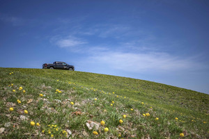 黑山头镇游记图文-草原 森林 童话镇 一路向北去呼伦贝尔