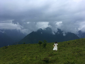 卧龙游记图文-美照高产地云中牧场，一天往返看秘境自然｜成都周边