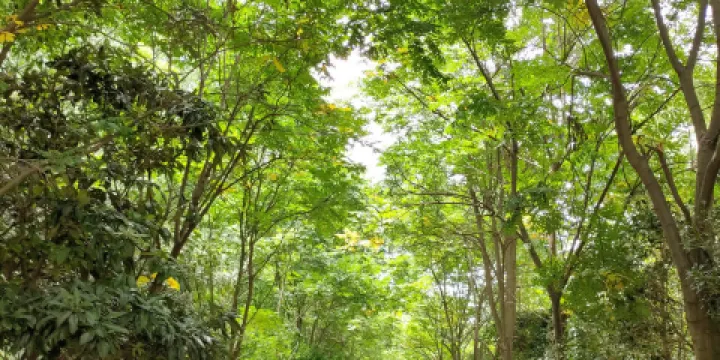 漢江三峽風景區-濱江公園