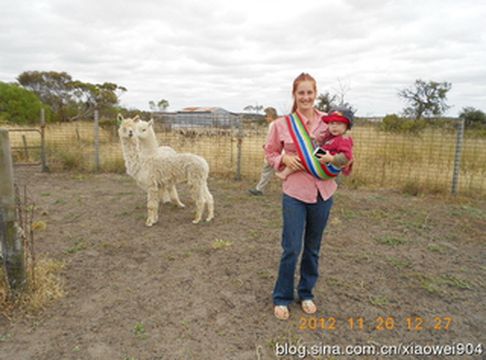 城市和乡村的儿童联欢——旅拍国外儿童（5）