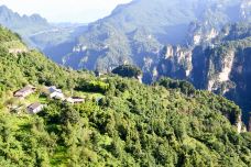 空中田园-张家界-彪标