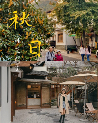 秋日赏桂|满觉陇下的侘寂风咖啡屋