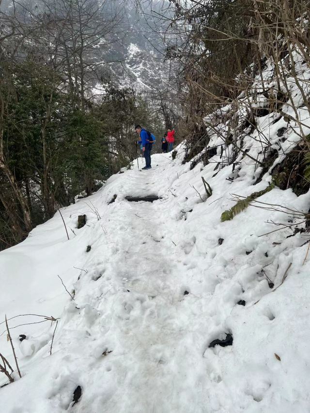 鸡冠山国家森林公园旅行图片 3