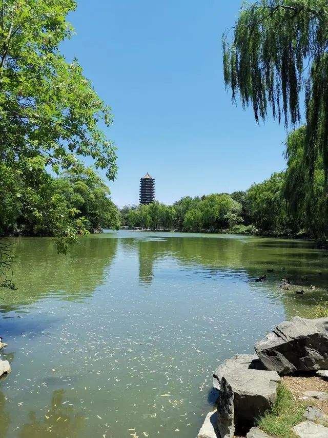 未名湖旅行图片 3