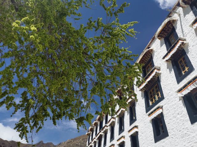 哲蚌寺旅行图片 1