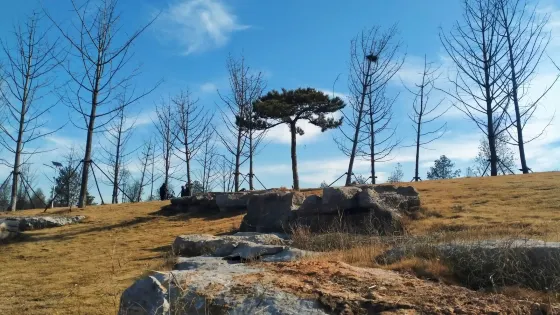 東舜河濕地公園
