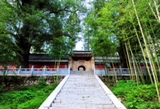 白竹园寺国家森林公园景点图片