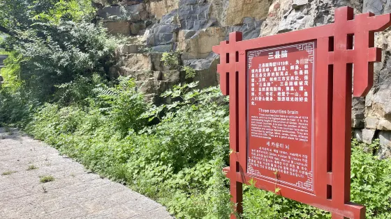 三縣腦