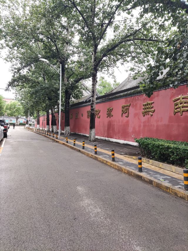 南馆公园旅行图片 1