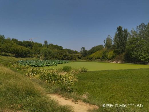 友兰湿地公园