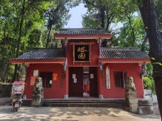 五凤山森林公园-简阳-路上50