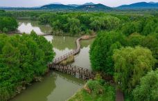 苏州太湖国家湿地公园-苏州-YoYo_4G7M3Q7D