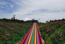 永川区黄瓜山乡村旅游区景点图片