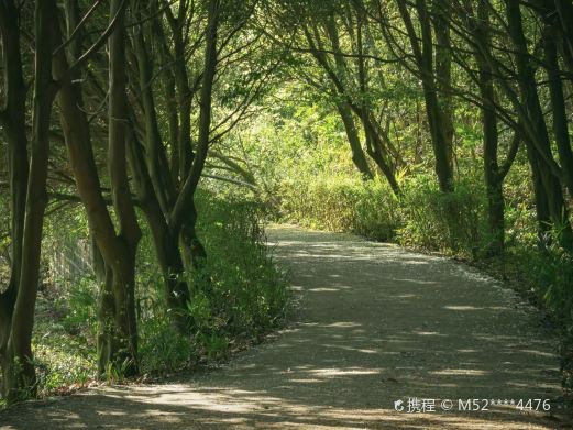 龙椅山植物园