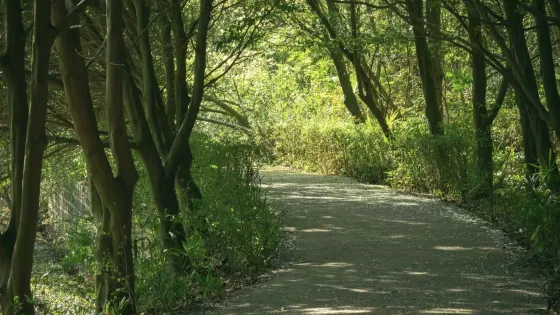 龍椅山植物園