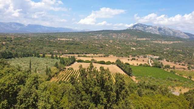 Restaurant de l'Hotel Ispinigoli