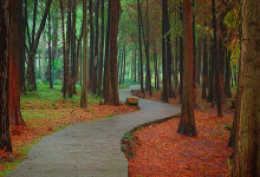 雨亭国家城市湿地公园景点图片