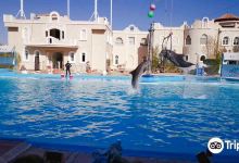 Dolphina Park景点图片