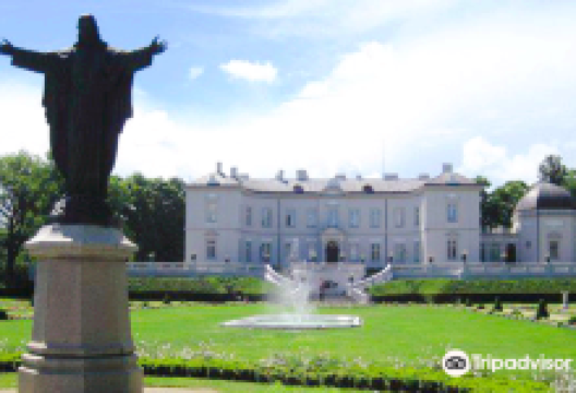 帕兰加琥珀博物馆景点图片