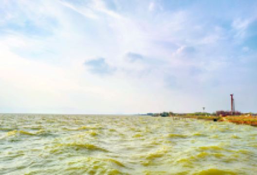 呈贡滇池生态湿地公园景点图片