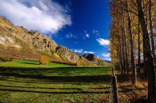 瓦尔特峰高原农场-皇后镇