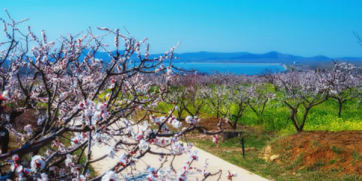 徐州呂梁風景區